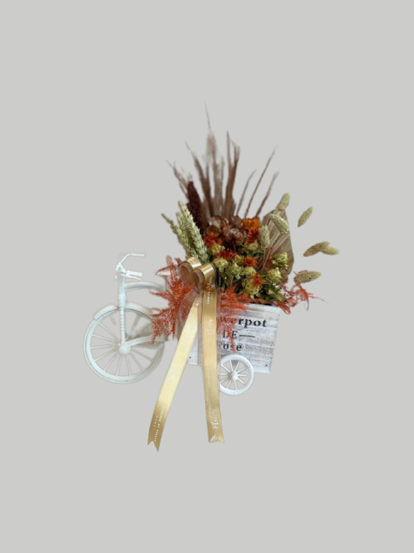 Dried Flowers - Bicycle Arrangement Mixed Florals