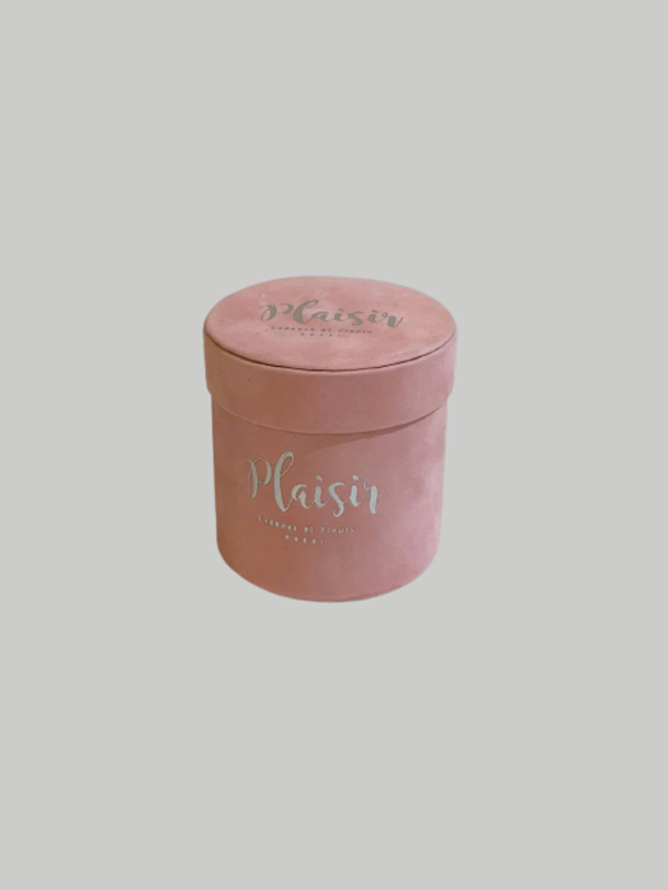 Money Box Pink