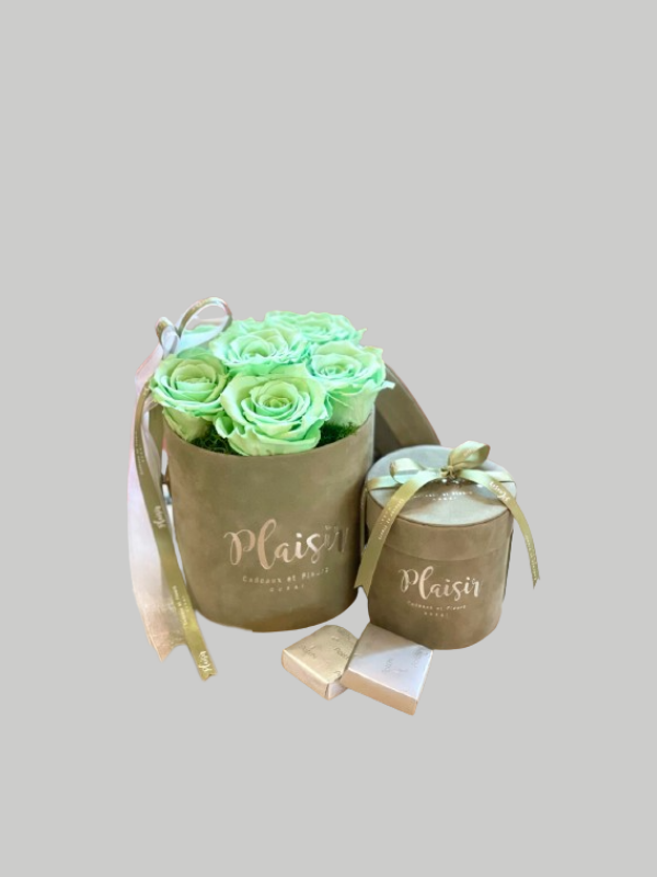 Giftset - Six Infinity Green and Choco