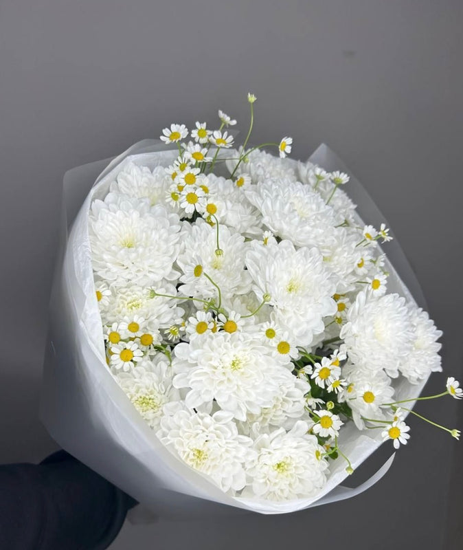 Chrysanthemum