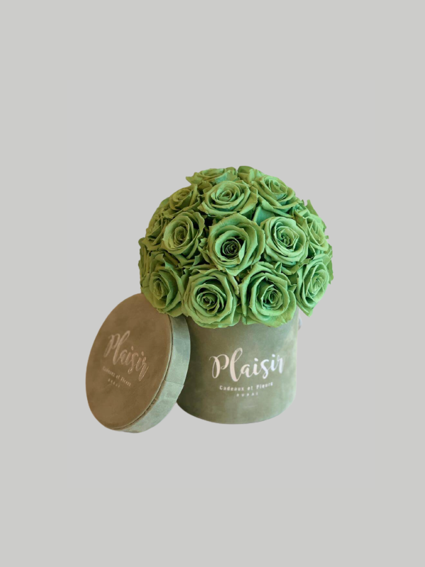 Forever Rose Infinity - Dome Mini Green on Green