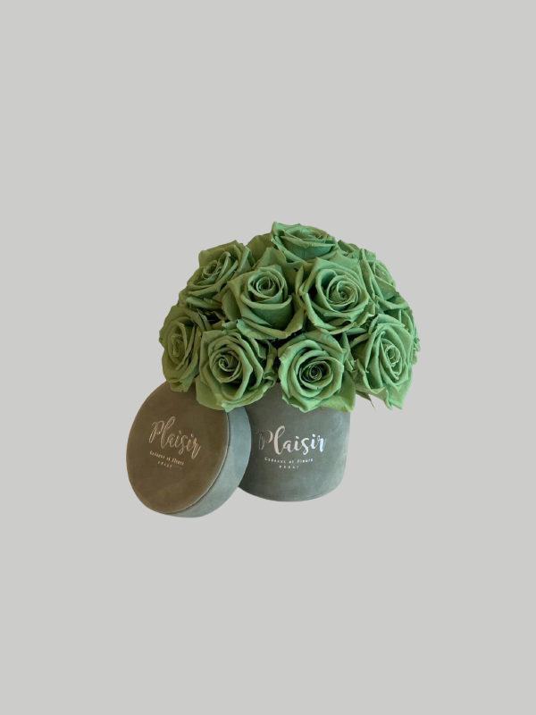 Forever Rose Infinity - Dome Petite Green on Green