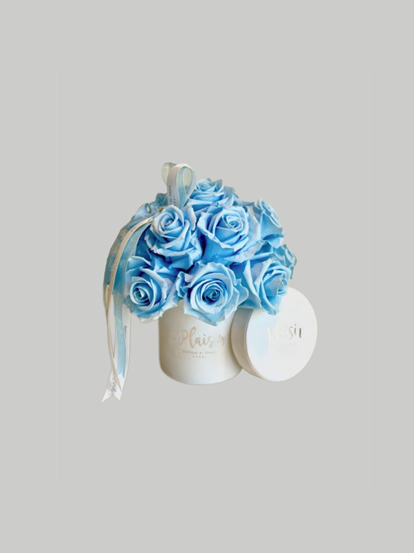 Forever Rose Infinity - Dome Petite Sky Blue on White