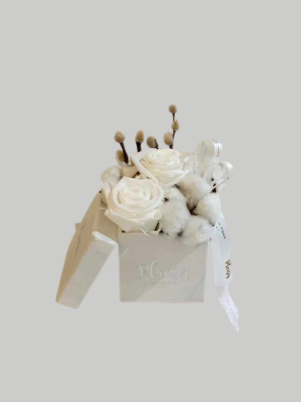 Forever Rose Infinity - Double White on White