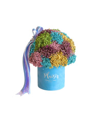 Velvet Gypso - Petite Rainbow