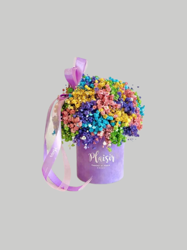 Velvet Gypso - Petite Rainbow on Lilac