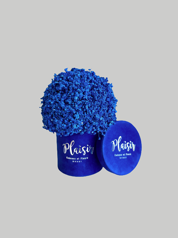 Velvet Gypso - Mini Royal Blue