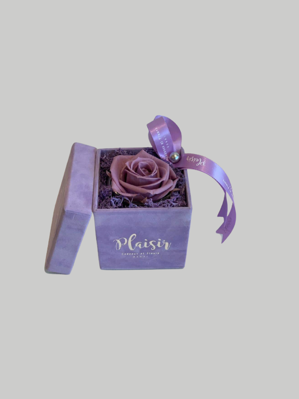 Forever Rose Infinity - Single Lilac on Lilac