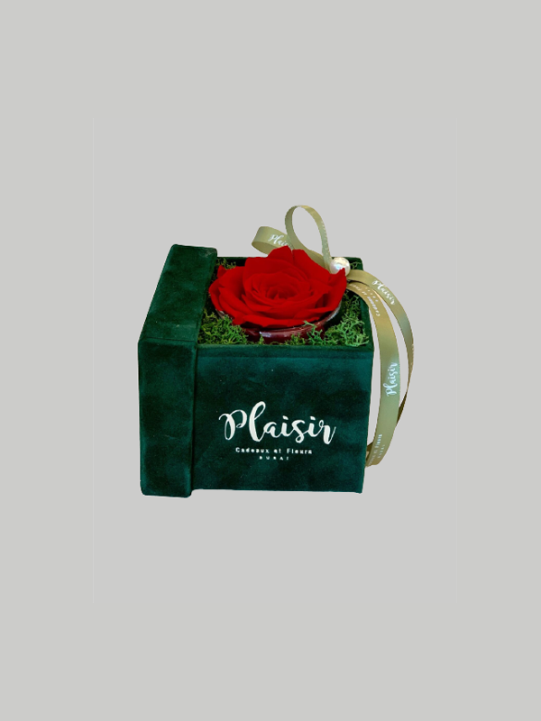 Forever Rose Infinity - Single Red on Green