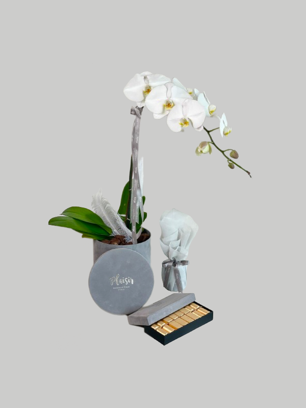 Giftset - Orchid, Choco and Candle Grey