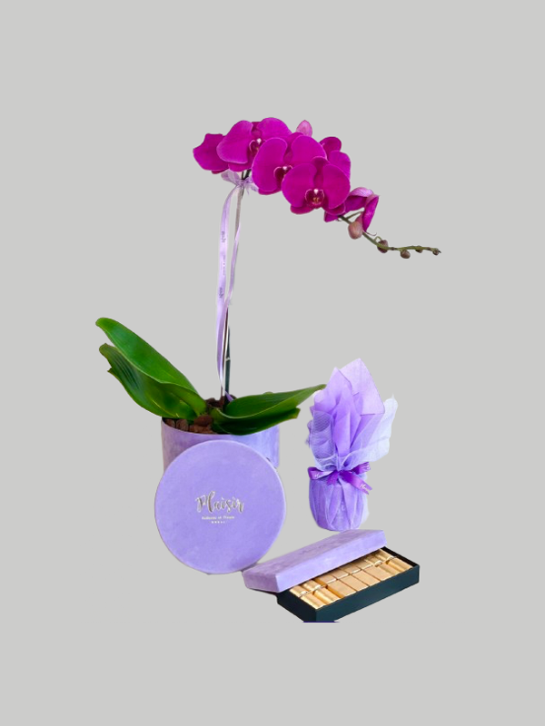 Giftset - Orchid, Choco and Candle Lilac