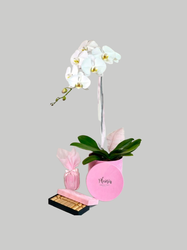 Giftset - Orchid, Choco and Candle Pink