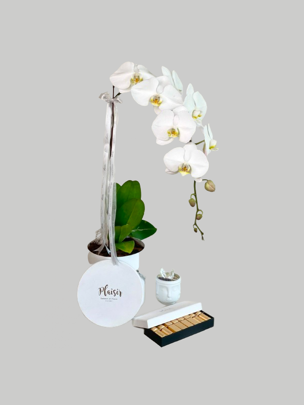 Giftset - Orchid, Choco and Candle White