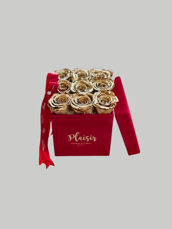 Forever Rose Infinity - Nine Gold on Red