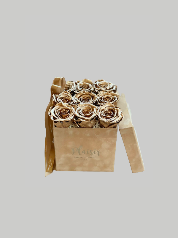 Forever Rose Infinity - Nine Gold on Tan