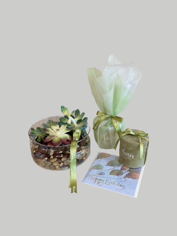 Giftset - Succulent Happy Birthday Large