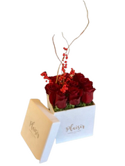 مربع مخملي احتفالي - مزيج أحمر