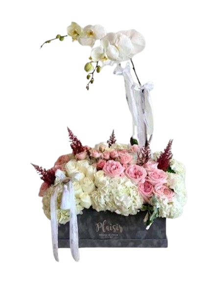 Velvet VIP Box - Orchids, Roses, Hydrangeas