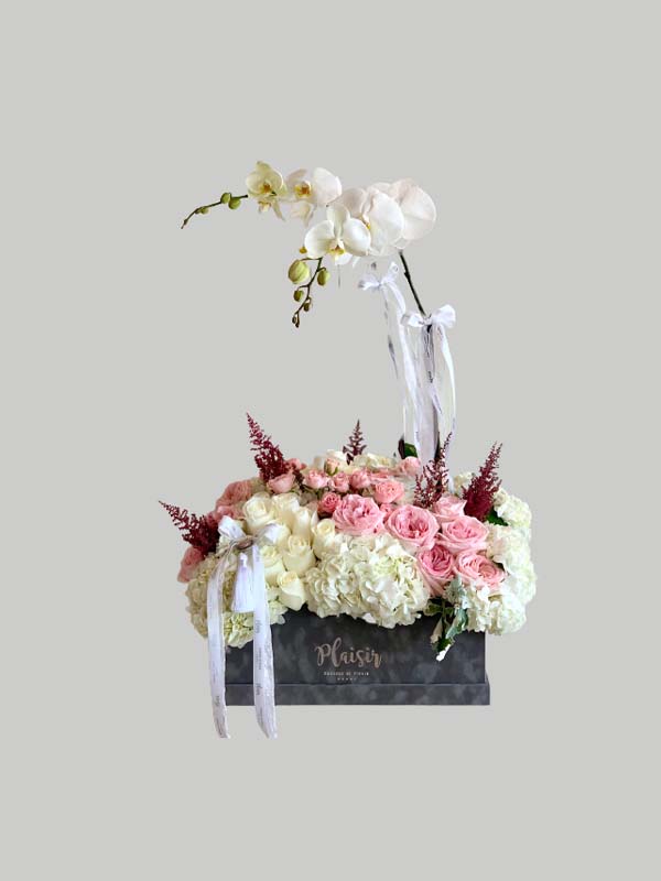 Velvet VIP Box - Luxury Garden Floral with Orchids