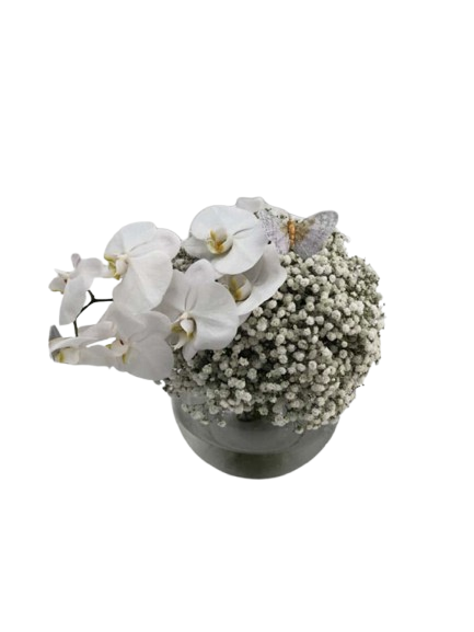 Vase - Gypsophila with Orchid Stem Small