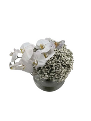 Vase - Gypsophila with Orchid Stem Small