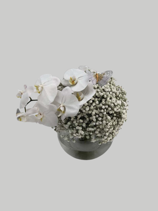 Vase Small - Butterfly Gypso with Orchid Stem