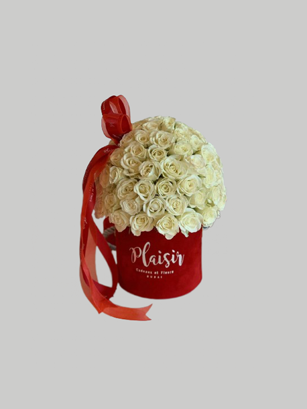 Velvet Cylinder Mini - White Rose Dome on Red