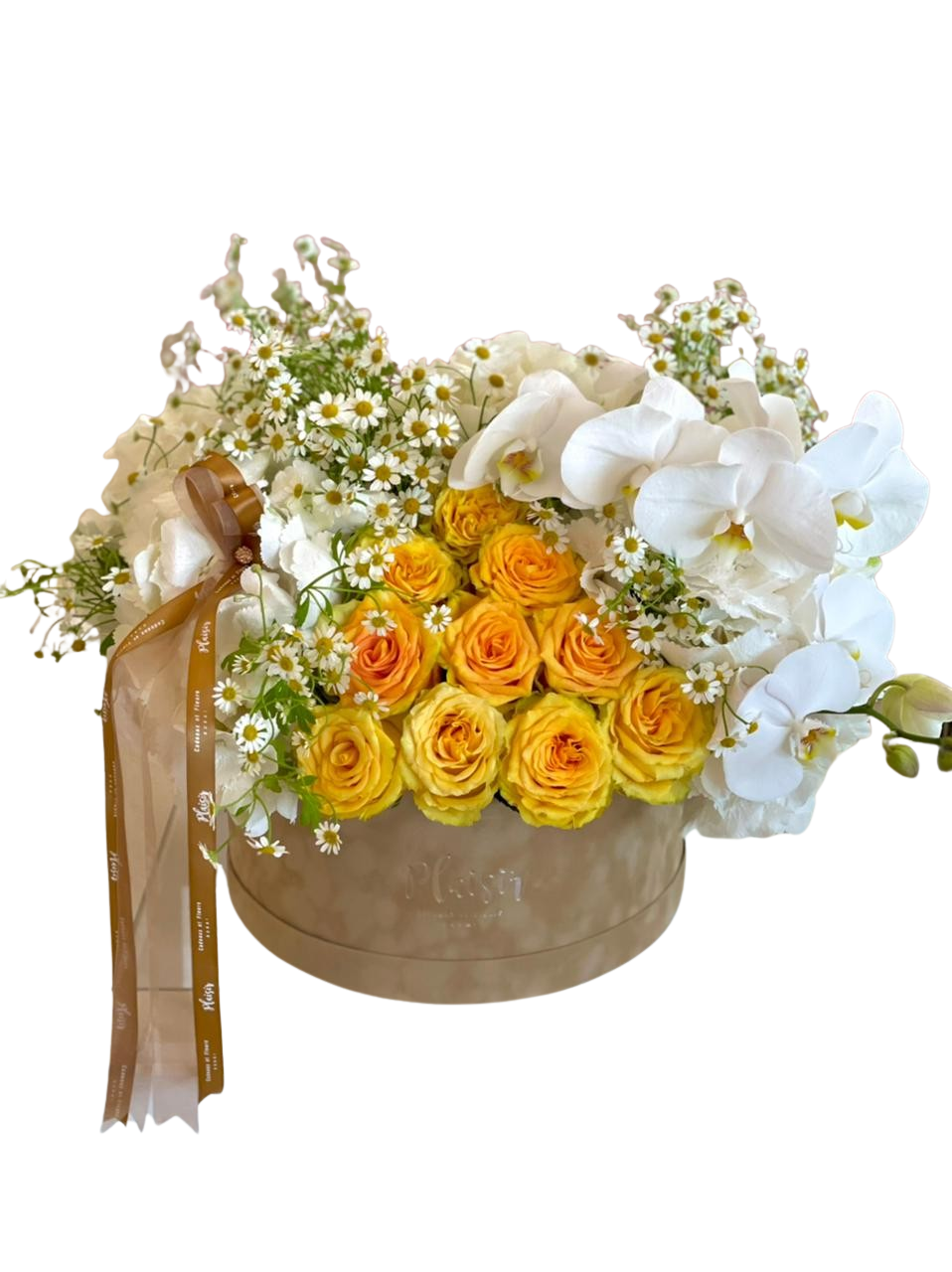 Velvet Hatbox - Sunshine Floral