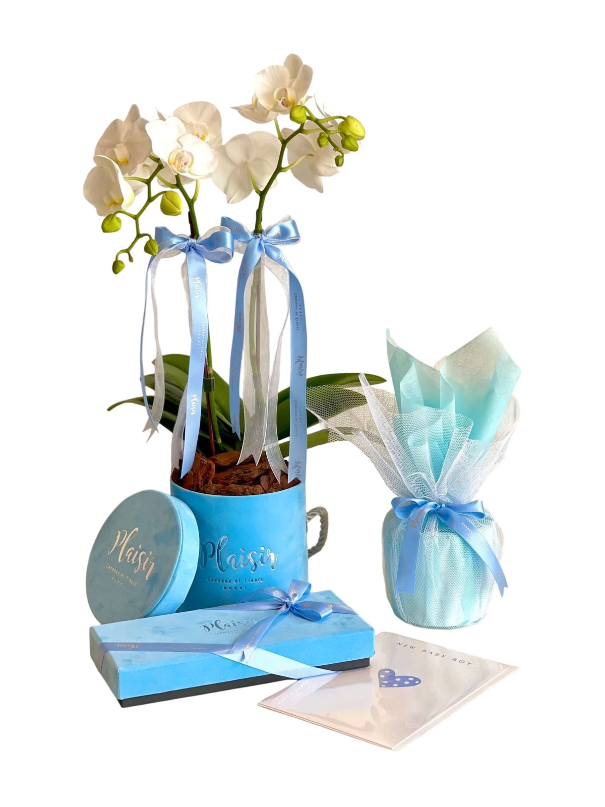 مجموعة هدايا - زهرة أوركيد صغيرة للرضيع مع بطاقة