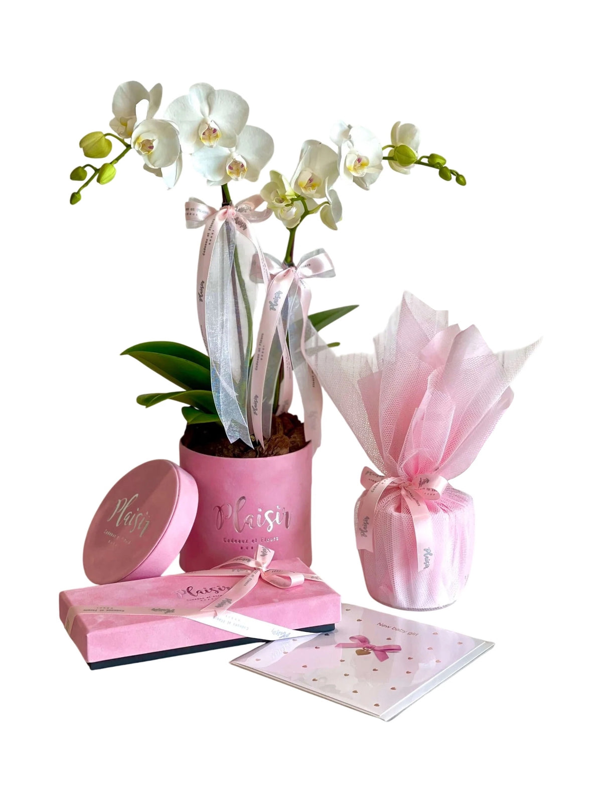 Giftset - New Baby Girl with Card