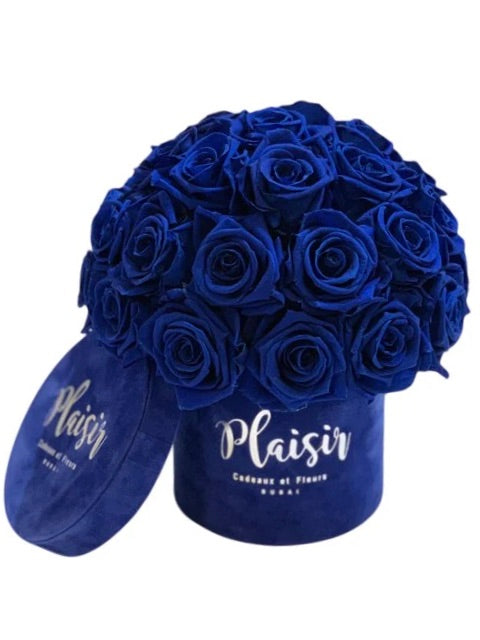 فور إيفر روز إنفينيتي - قبة صغيرة باللون الأزرق الملكي