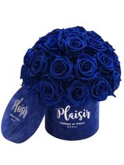 فور إيفر روز إنفينيتي - قبة صغيرة باللون الأزرق الملكي