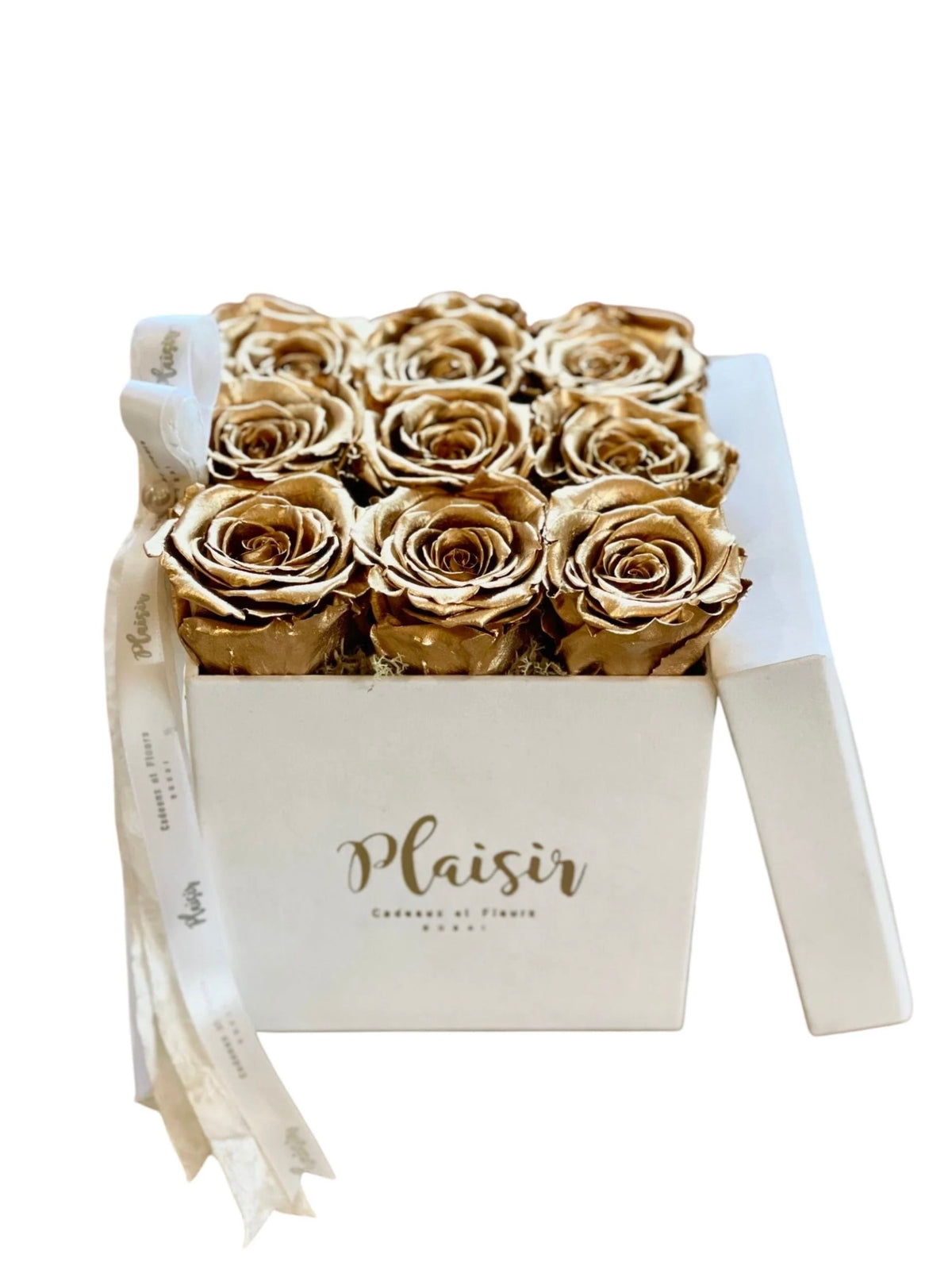 Forever Rose Infinity - Nine Gold on White