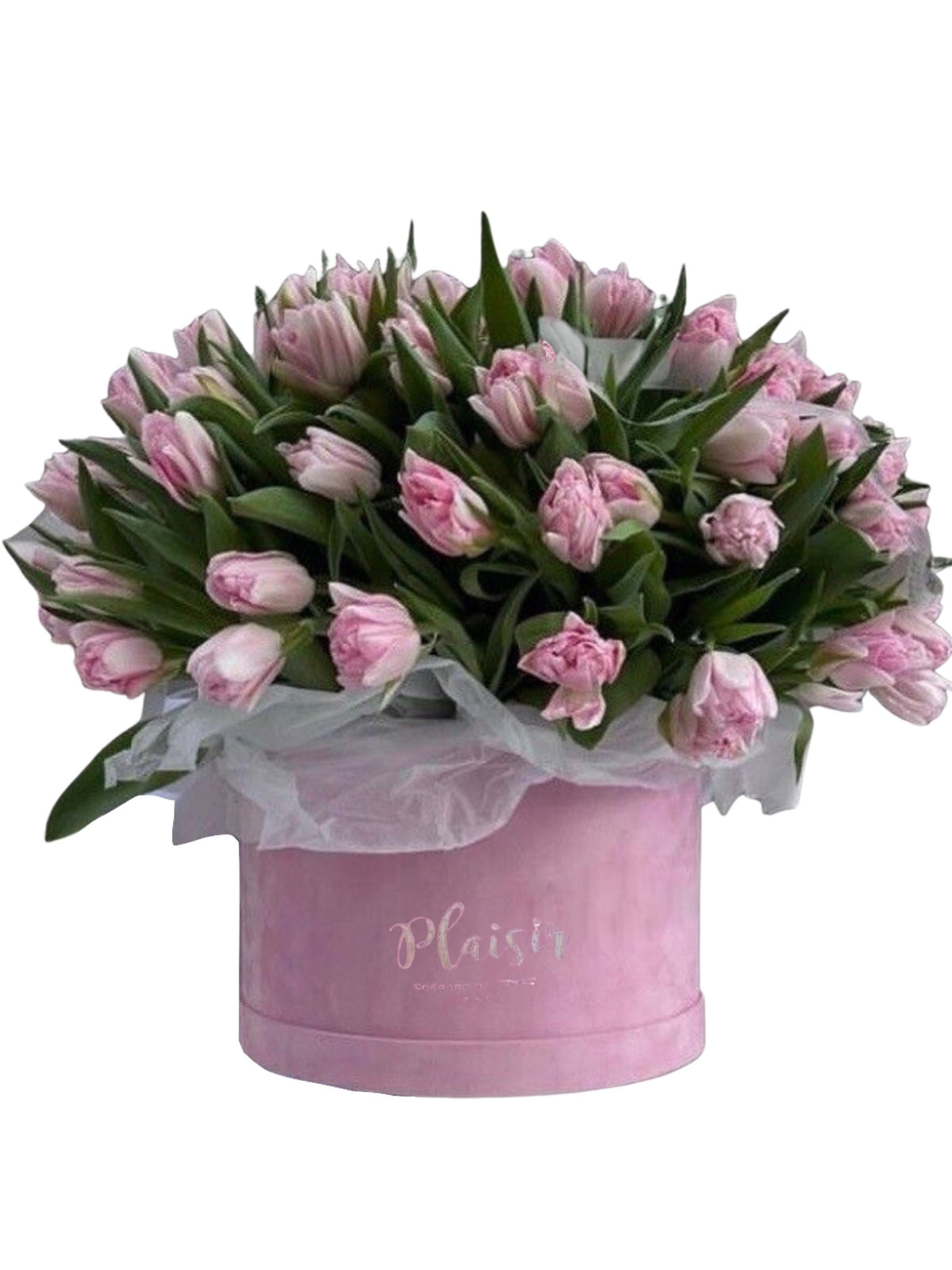 Velvet 25 Dia - Pink Tulips on Pink