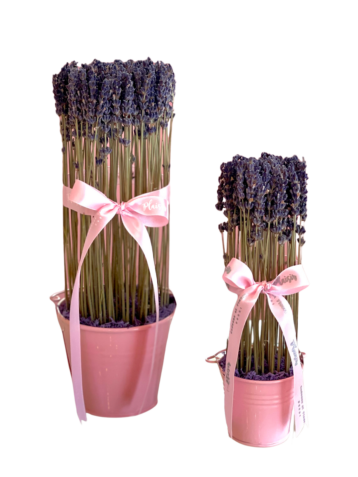 Lavender - Set of Two Pails
