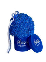 فيلفيت جيبسو - ميني رويال بلو