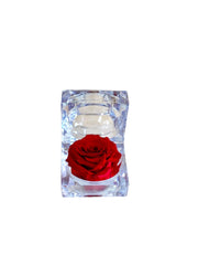 Giftset - Exquisite Fragrance and Petite Infinity Rose