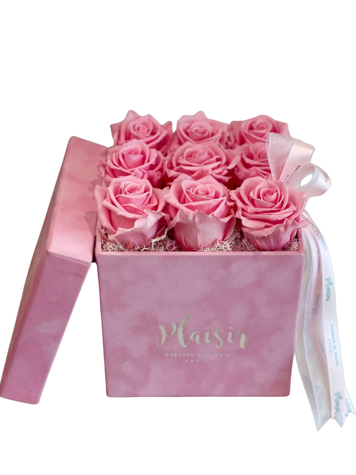 Forever Rose Infinity - Nine Pink on Pink