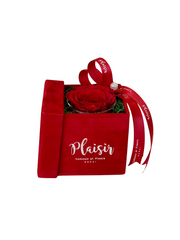 Giftset - Exquisite Fragrance and Single Infinity