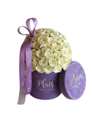 Velvet Cylinder Mini - Rose Dome