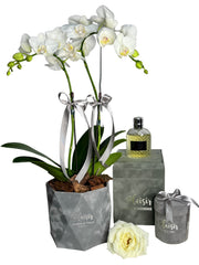 Giftsest - Pour Homme Cologne, Mini Orchid & Chocolates