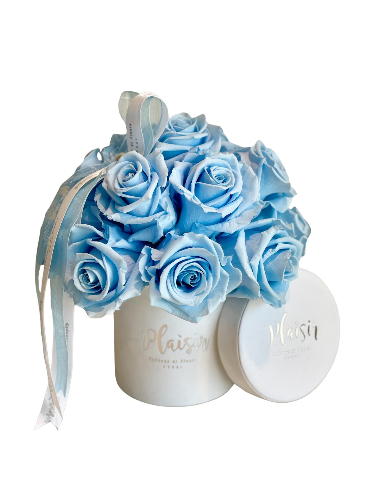 فور إيفر روز إنفينيتي - قبة صغيرة باللون الأزرق السماوي على الأبيض