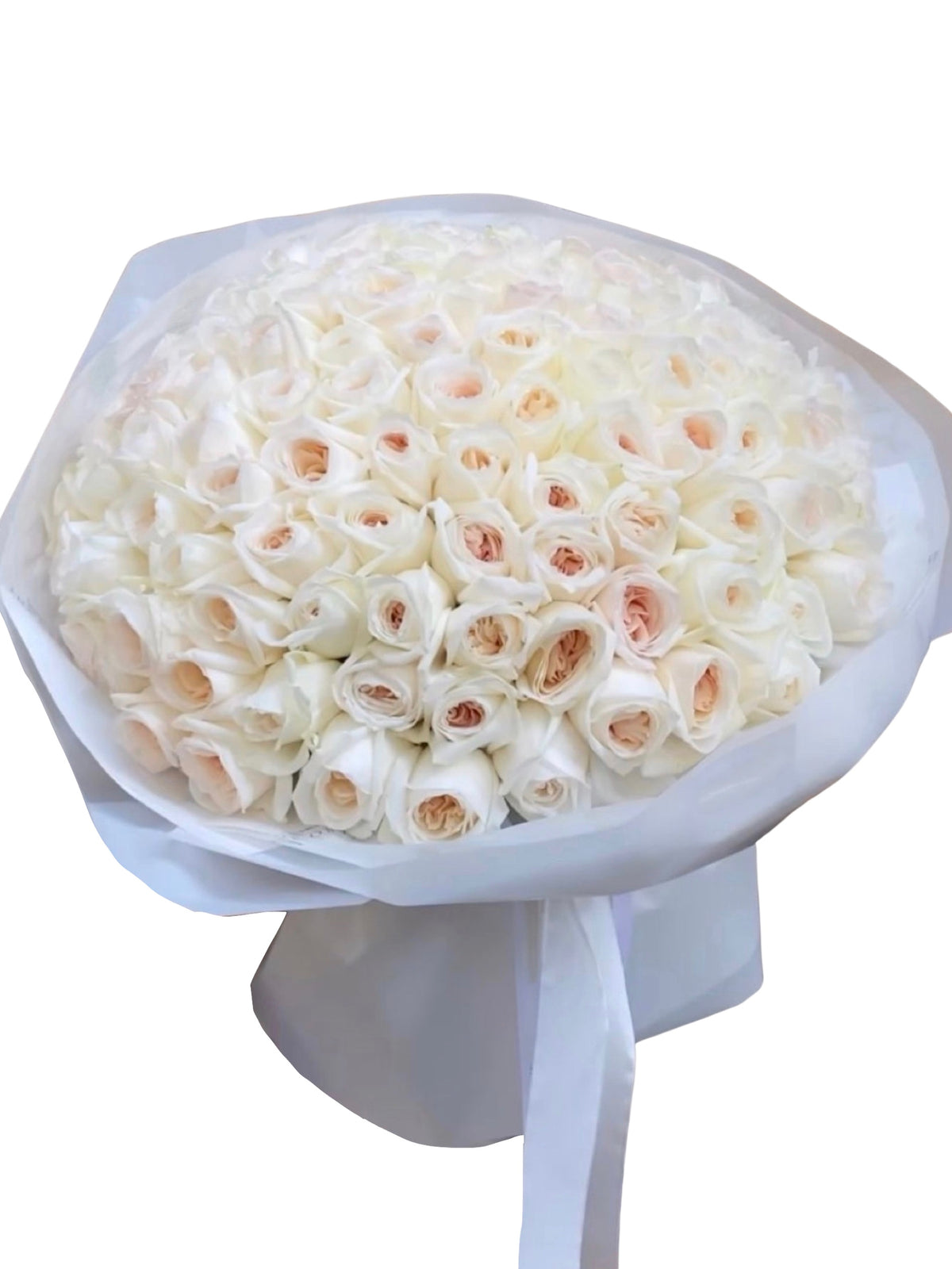 Hand-Tied Bouquet - 100 White O'Hara Roses