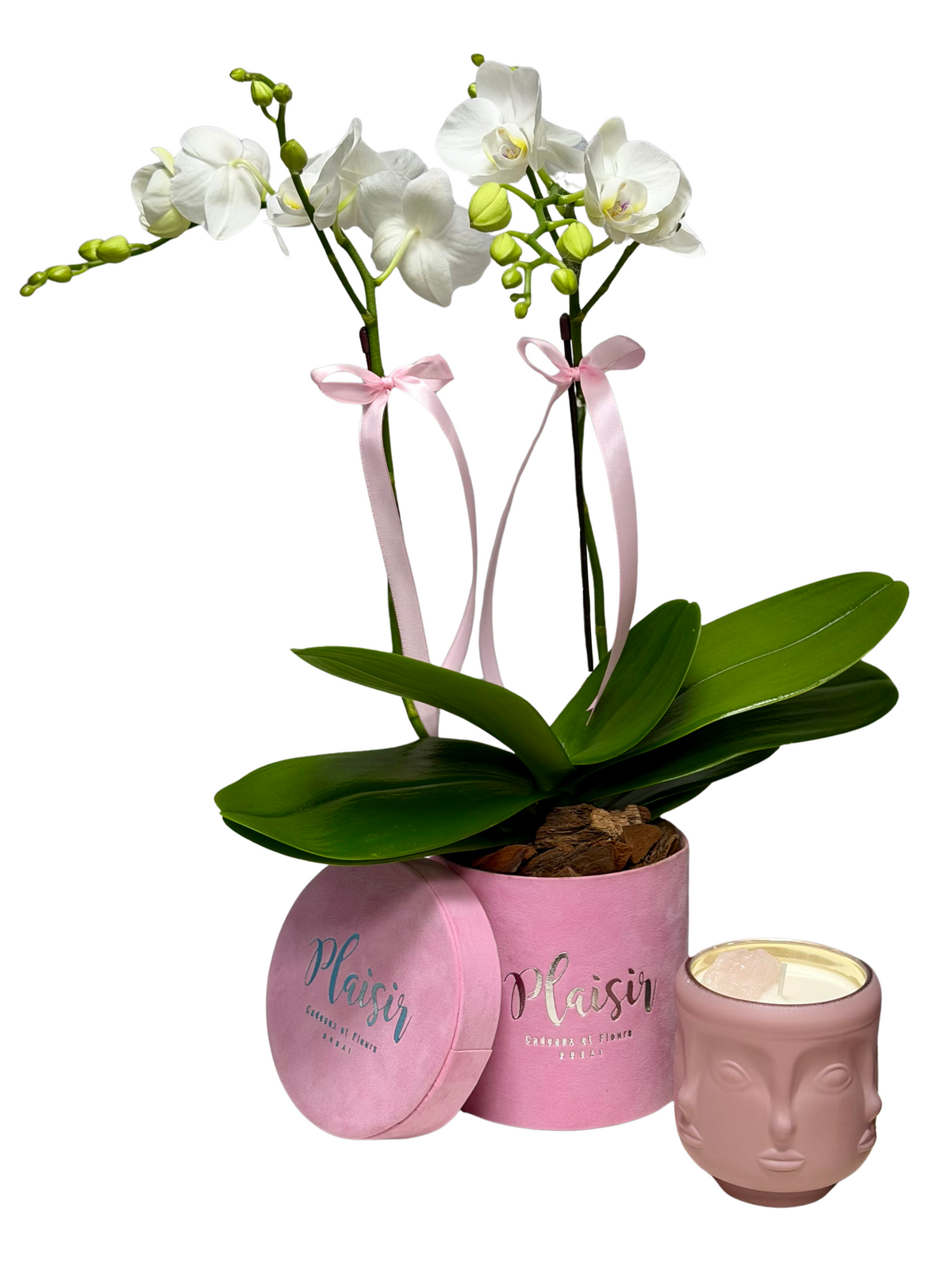Mini Orchid & Visage Crystal Candle