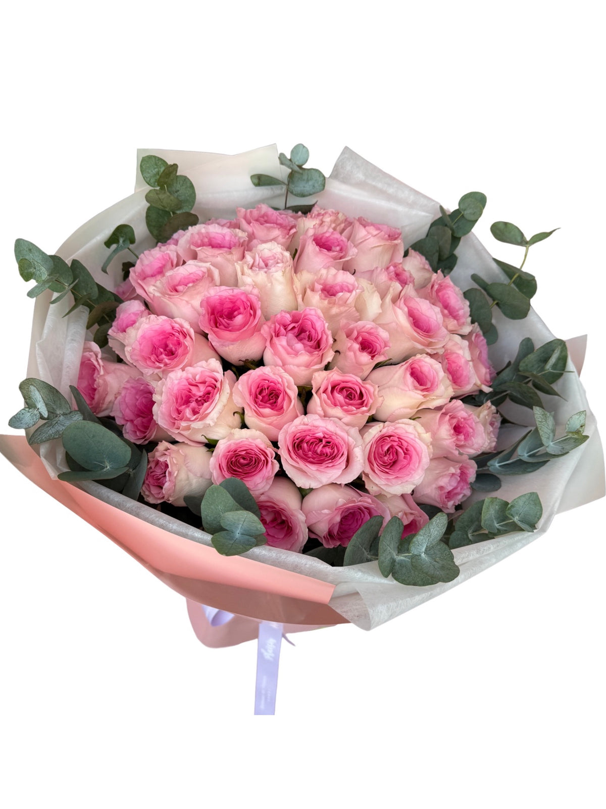 Hand-Tied Bouquet - 31 Pink Roses with Eucalyptus