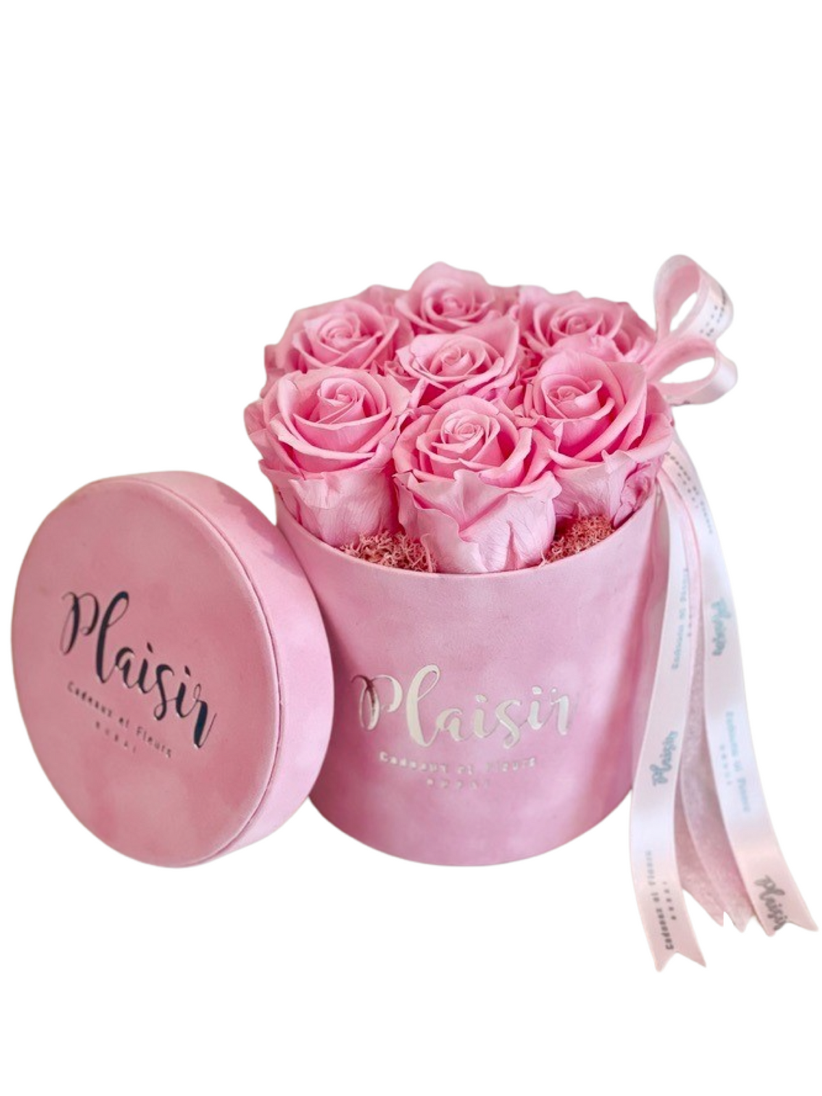 Forever Rose Infinity - Six Pink on Pink