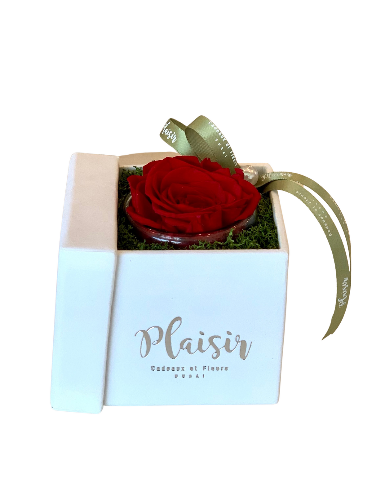 Forever Rose Infinity - Single Red on White