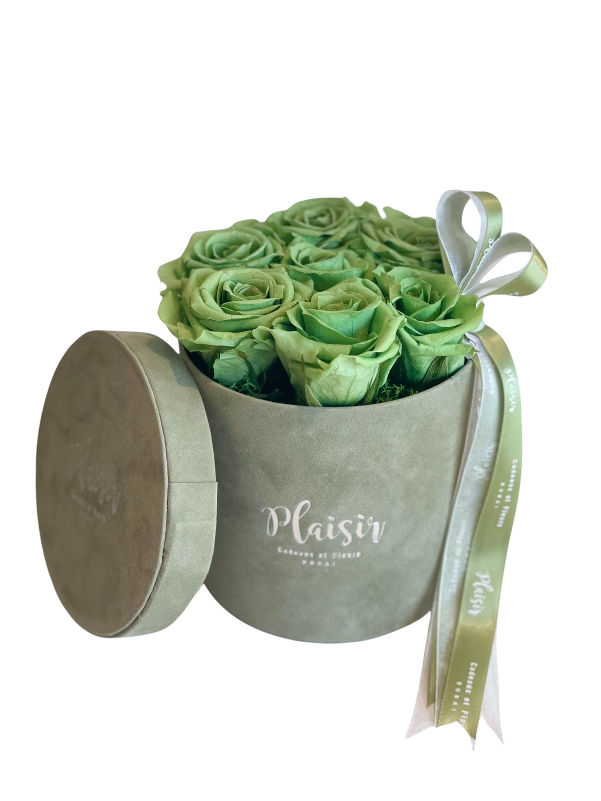 Forever Rose Infinity - Six Green on Green