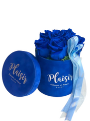 Forever Rose Infinity - Six Royal Blue
