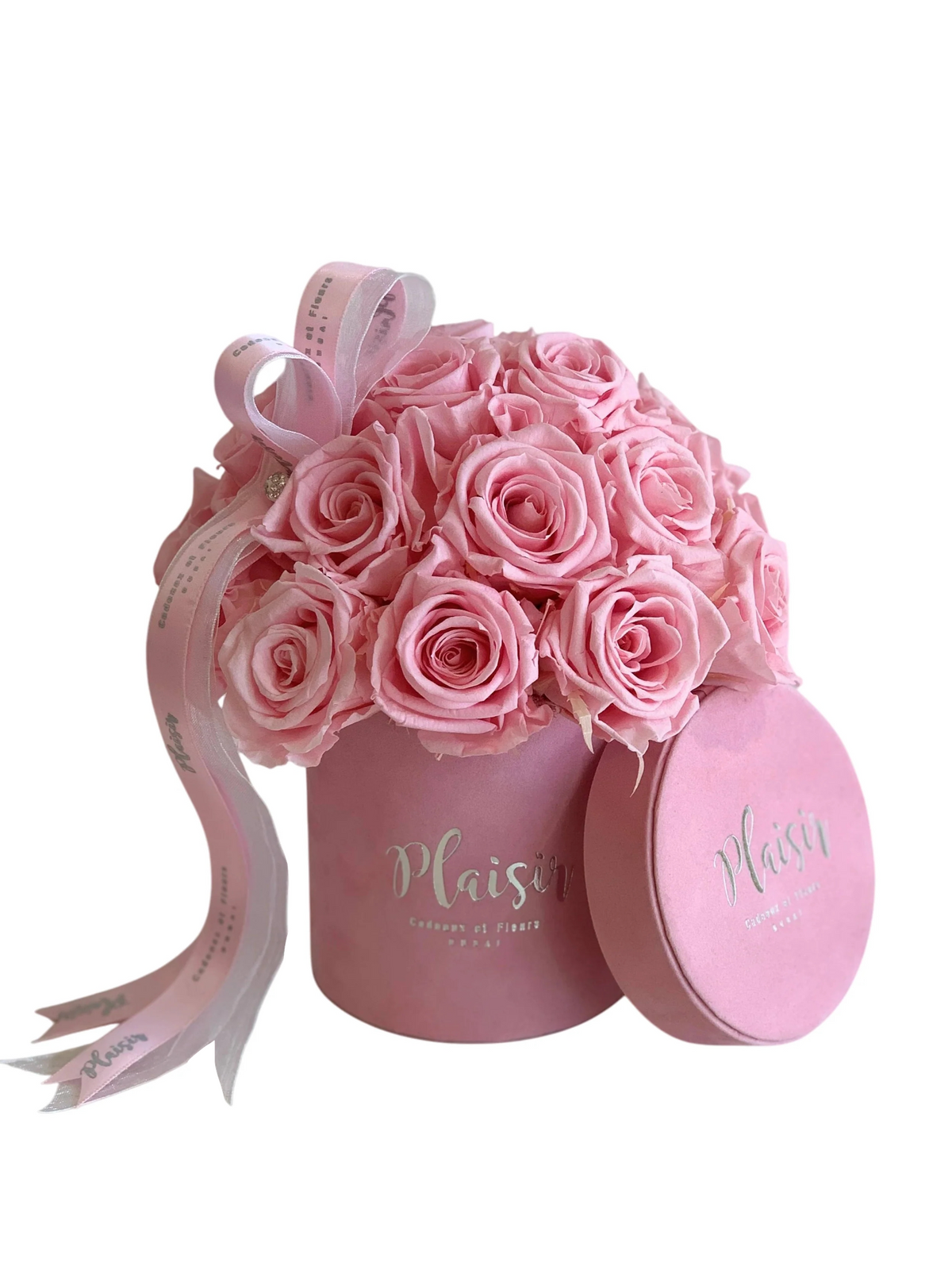 Forever Rose Infinity - Dome Petite Pink on Pink